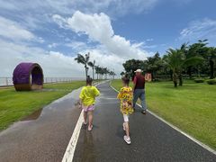 -野狸岛
