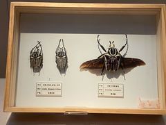 -台州博物馆