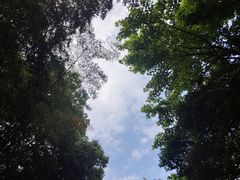 -杭州半山国家森林公园