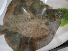 -金掌勺东北菜(格兰晴天店)