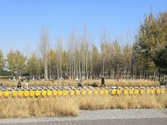 -汉长安城未央宫国家考古遗址公园