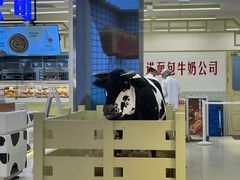 -红星前进面包牛奶公司(君太店)