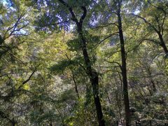 -阳台山自然风景区
