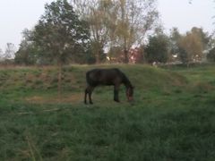 android_upload_pic-定鼎门遗址博物馆