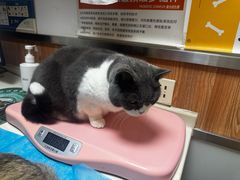 -宠福鑫动物医院(城北分院)