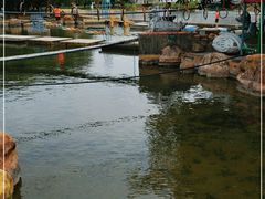 -海上田园