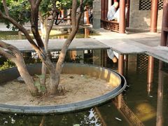 -门框胡同百年卤煮(鸟巢店)