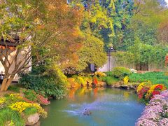 -杭州植物园