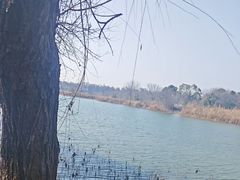 -东湖落雁景区