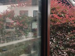 -碧丽宫大酒店(召稼楼店)