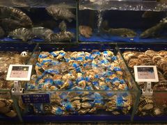 -高佳庄·舟山海鲜(海景旗舰店)