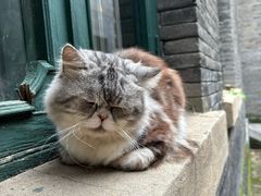 -赵尔巽公馆-旧址