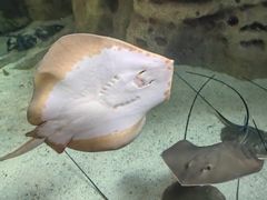 -珠海长隆海洋王国