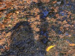 -龙苍沟森林公园