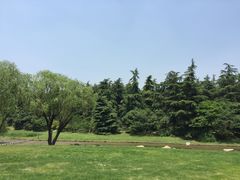 -共青国家森林公园-售票处