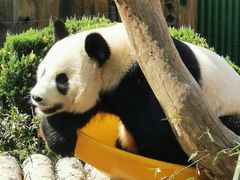 -大连森林动物园