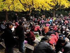 -成都市活水公园
