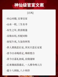 点击看大图 -CD视觉婚纱摄影