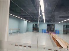 -舞蕾舞蹈(特长生校区)