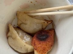 -洋洋锅贴