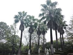 -三江森林温泉度假区