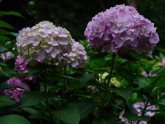 -常州古运河南大街文化旅游区-人民公园