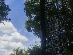 -厦门悦华酒店
