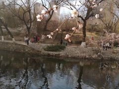 -满都海公园