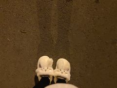 -京朋串屋·烧烤(望京西路总店)