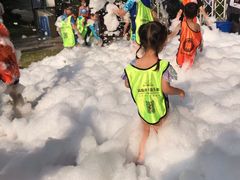 -碧桂园凤凰城酒店(南京店)