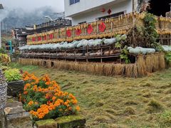 -新安江山水画廊风景区