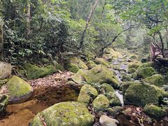 -海南热带雨林国家公园吊罗山景区