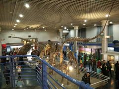 -国家自然博物馆