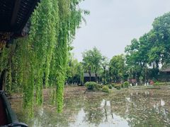 -桂湖森林公园