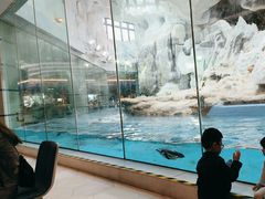 -帝企鹅自助餐厅•儿童岛•真企鹅(长隆企鹅酒店)