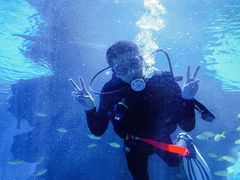 -石家庄海洋公园