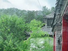 -老张烤羊(王哥庄店)