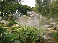 -东莞植物园