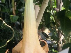 -北京植物园-展览温室