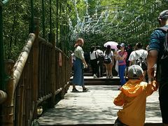 -陶祖圣境风景区