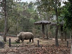 -清迈夜间动物园