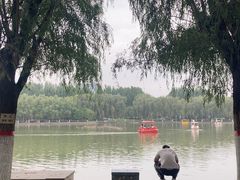 -五环公园