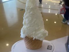 -野人先生Gelato(上海长宁龙之梦店)