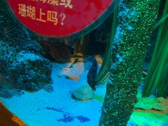 -沈阳海洋探索中心