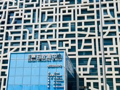 -证大喜玛拉雅中心