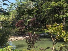-溪口商量岗景区
