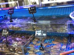 -渔民船说·北塘海鲜·天津菜·海肠捞饭(北塘古镇店)