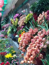 -Oasis Beauty水磨坊科技美肤中心