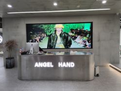 -ANGELHAND