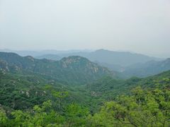 -大岭沟猕猴桃谷风景区